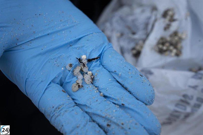 Plataformas progresistas demandan protocolo para proteger playas de vertidos de pélets
