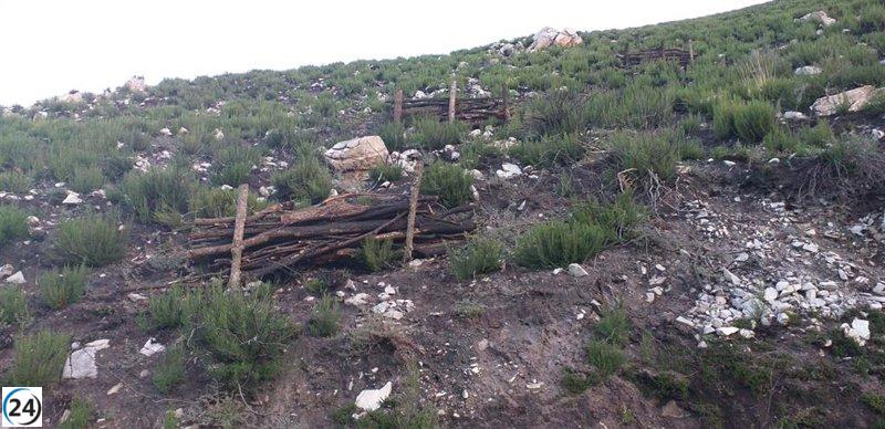 El Principado y el Gobierno colaboran en la reconstrucción de áreas dañadas por incendios en Redes y Ponga.