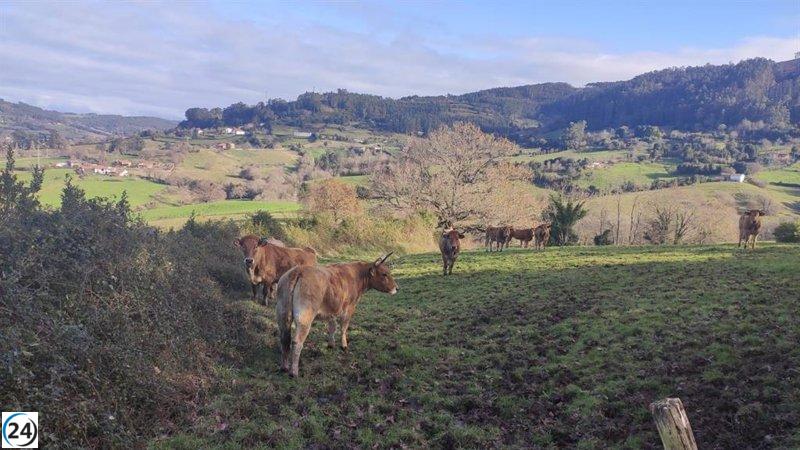 El Gobierno destina 22,7 millones para impulsar la transición digital en el sector agroalimentario.
