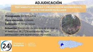 El Principado destina más de 83.000 euros a tratamientos silvícolas en el monte Fonfaraón.