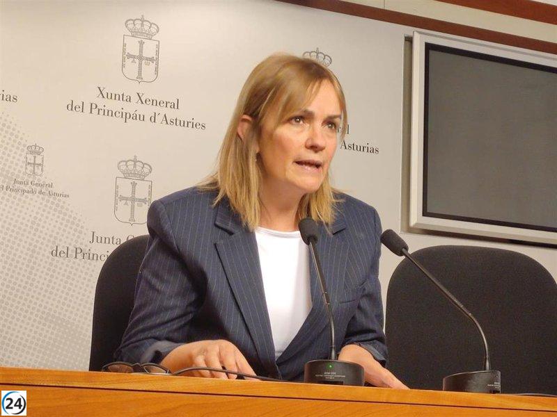 Covadonga Tomé insta a la Junta a eliminar de forma inmediata el peaje del Huerna