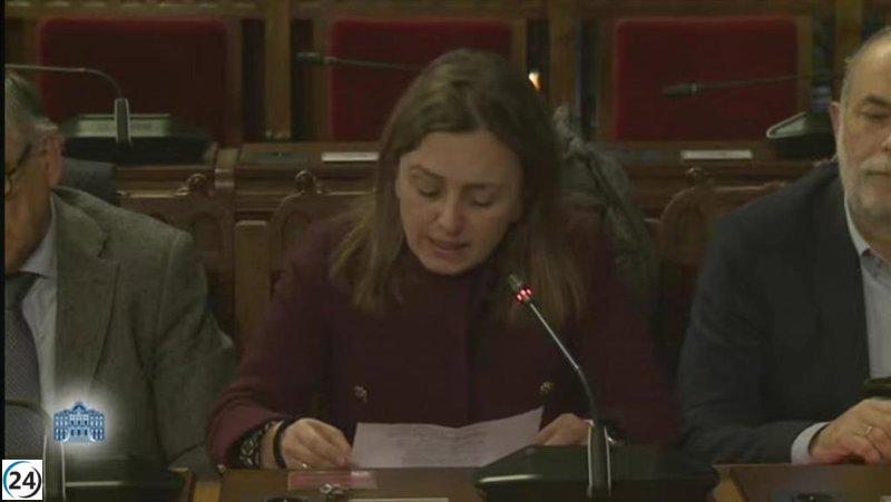 La presidenta de FADE señala que la actual estructura financiera no puede sostenerse a largo plazo.