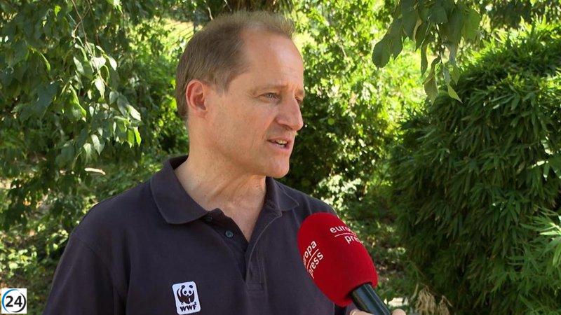 WWC advierte que Asturias debe reforzar la protección del lobo.