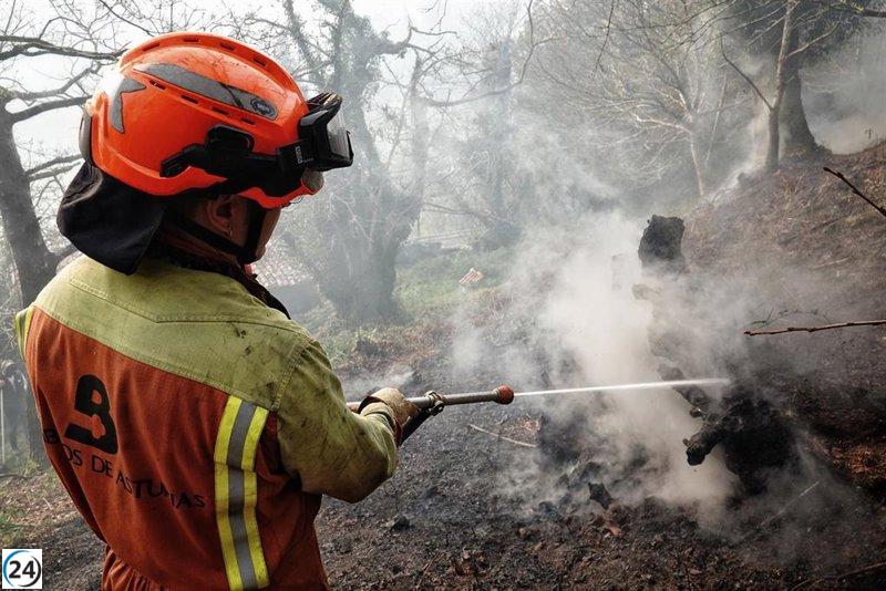 Asturias enfrenta incendios hoy: el SEPA combate las llamas en once localidades.