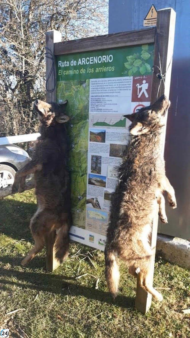Activistas por el medio ambiente y los derechos de los animales rechazan la reactivación de las