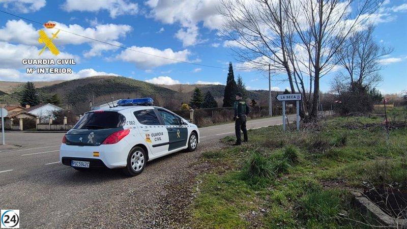 Indagan al propietario del perro que atacó a una niña en La Seca-Cuadros (León)
