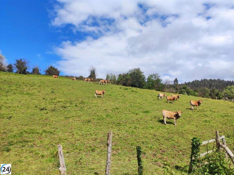 El Gobierno asegura que avanza rápidamente en la regulación del lobo.