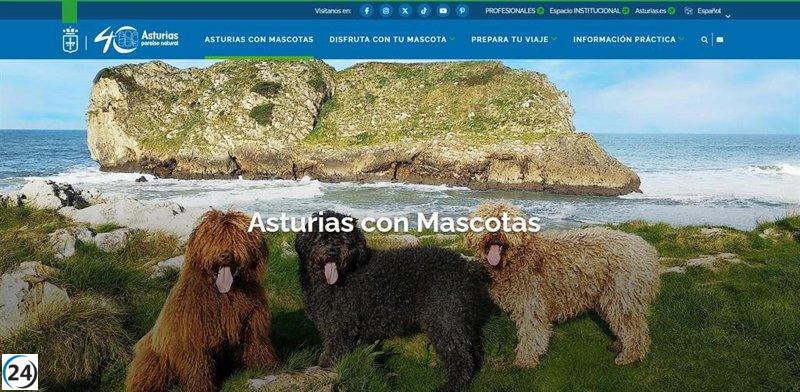 Nace un portal turístico con más de 300 opciones para viajeros con mascotas.