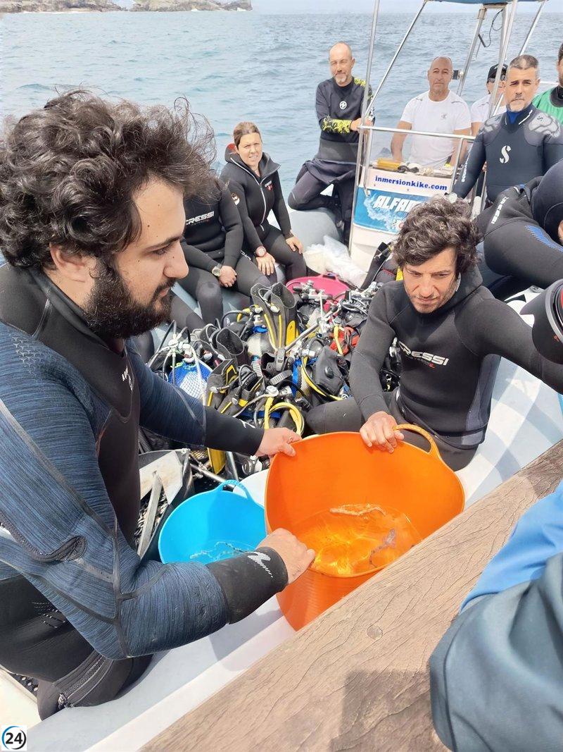 Gijón libera 50 tiburones pintarroja en el Mar Cantábrico desde la Playa de Poniente.