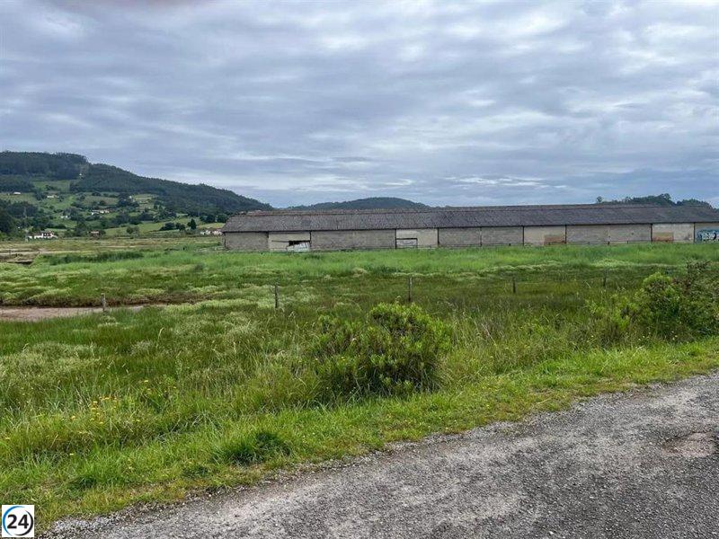 Ecologistas denuncian un vertedero de vehículos en la reserva de la Ría de Villaviciosa.