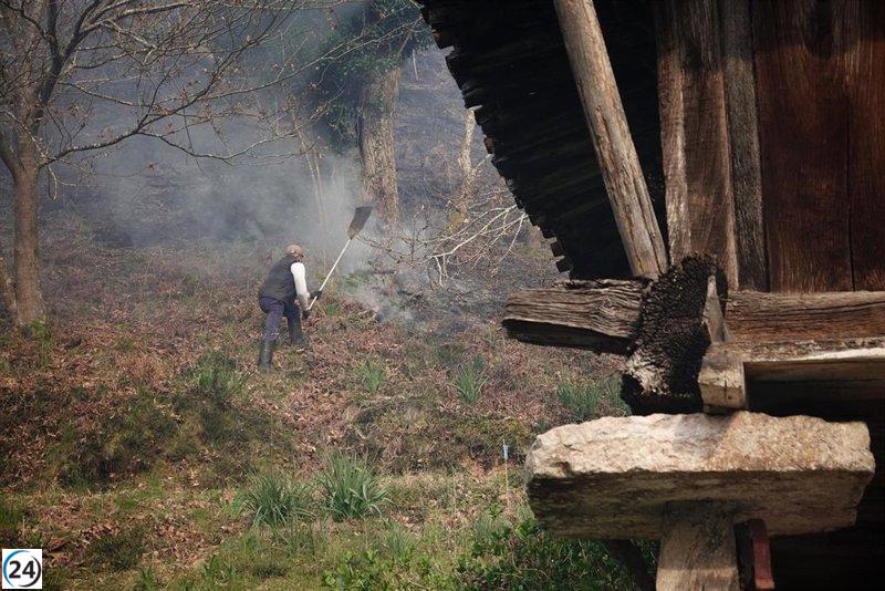 Alerta máxima por incendios forestales en Cangas del Narcea, Degaña e Ibias este miércoles.