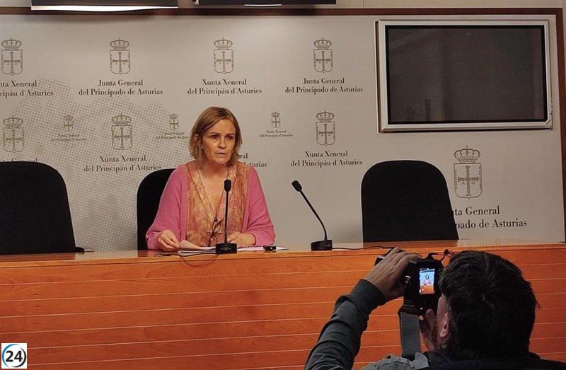 Tomé (G. Mixto) alerta sobre la alarmante demora en la atención a dependientes en Asturias.