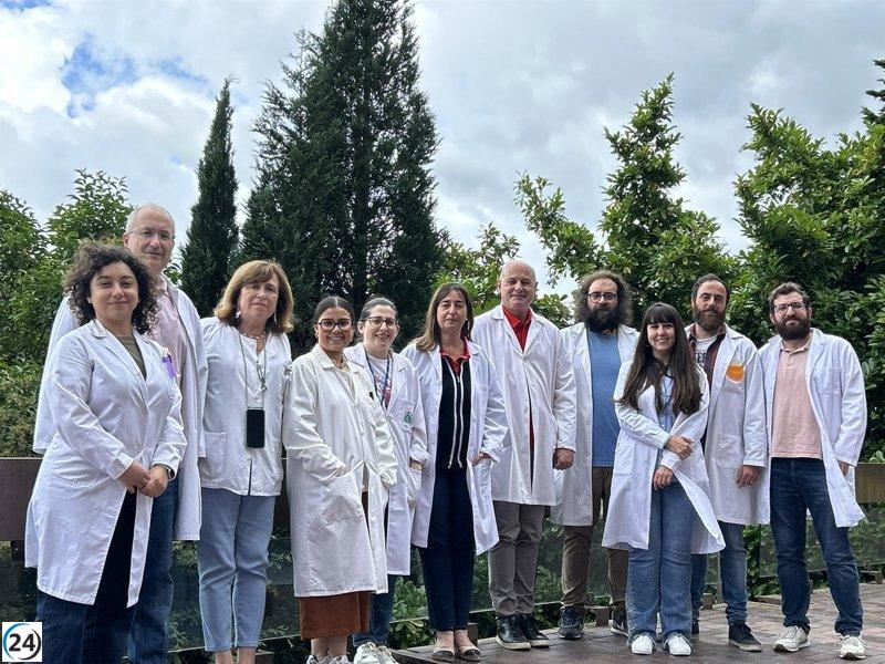 Científicos de la Universidad de Oviedo descubren un objetivo inmunológico clave para combatir la leucemia.