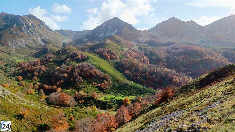 Estudio muestra que la diversidad en los bosques fortalece su resistencia al cambio climático.
