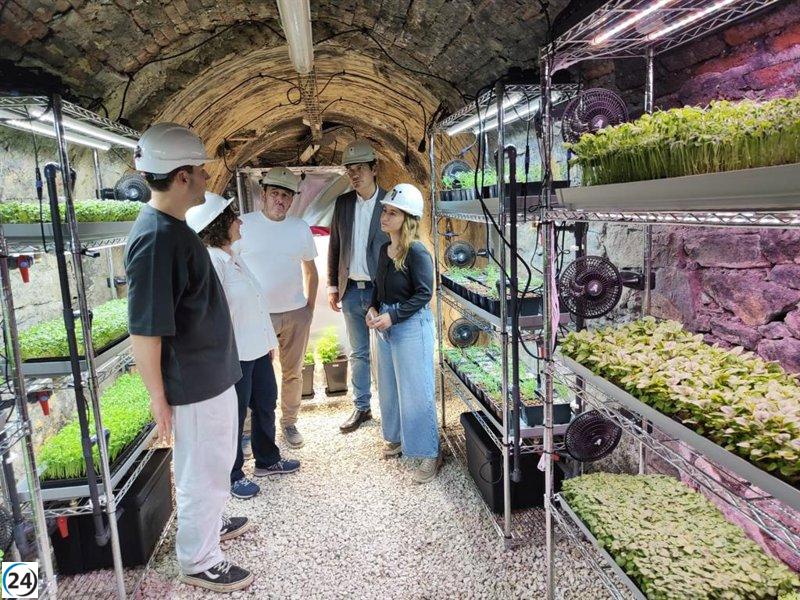 El Serida inaugura el primer invernadero subterráneo de España en una antigua mina del Pozo Carrio.