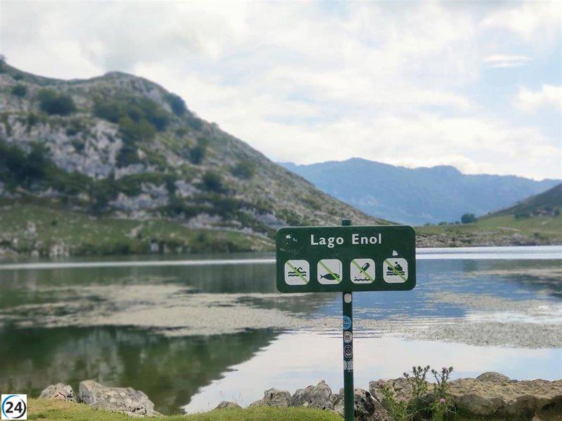 Asturias inicia la recuperación ecológica de los Lagos de Covadonga en Picos de Europa.