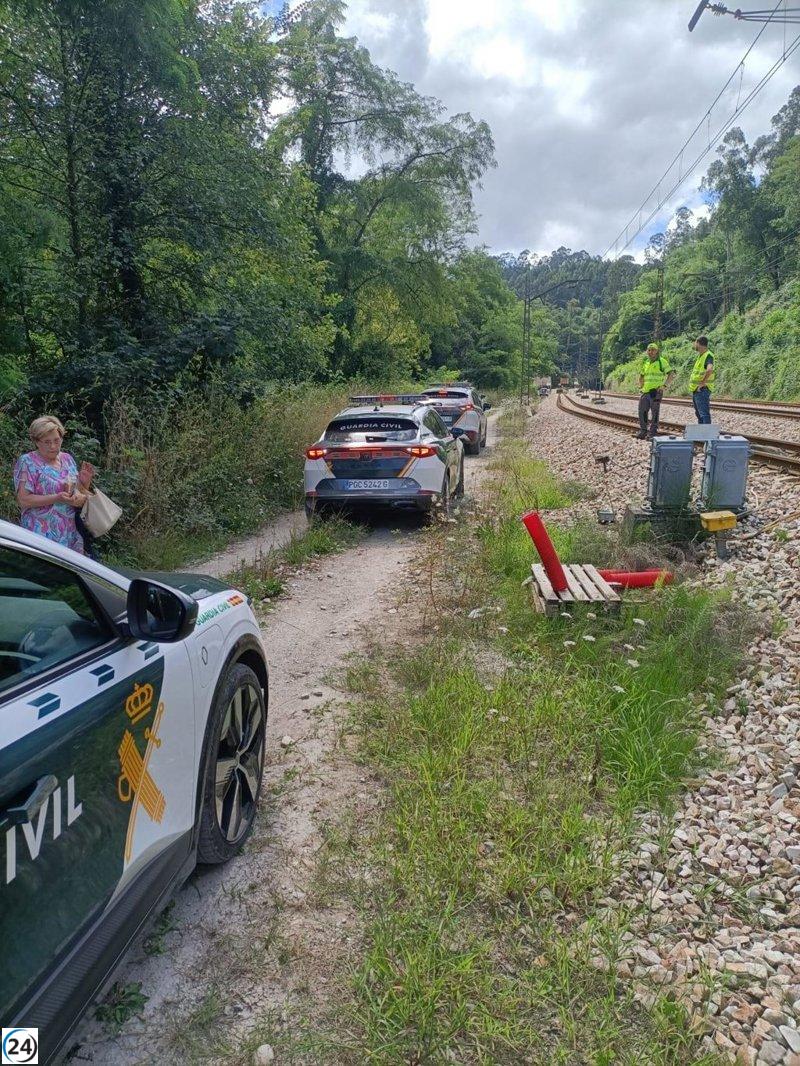 Corte del servicio ferroviario entre Gijón y El Berrón por fallo en tren de cercanías.