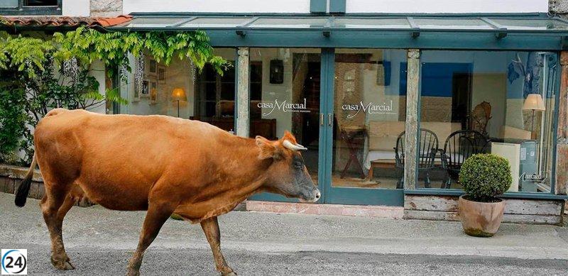 Treinta restaurantes de Asturias destacan en la nueva Guía de Gastronomía Sostenible.