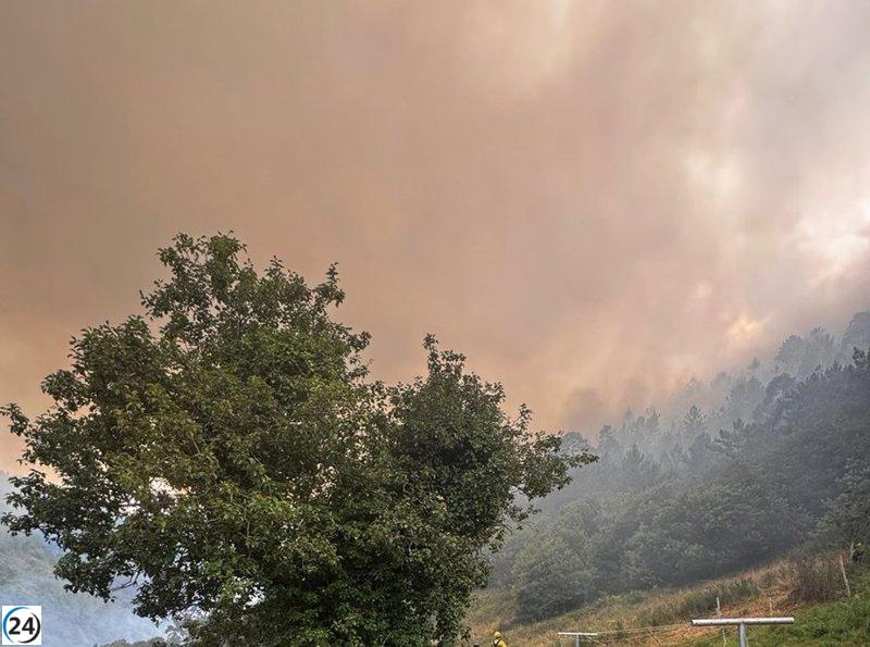Bomberos se movilizan para controlar incendio en el bosque de Villayón.