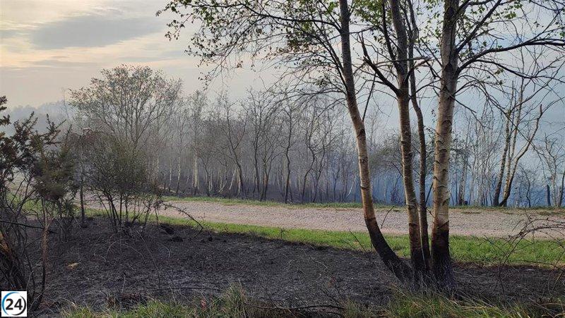Sindicatos advierten sobre caos e improvisación en la gestión de las vigilancias contra incendios.