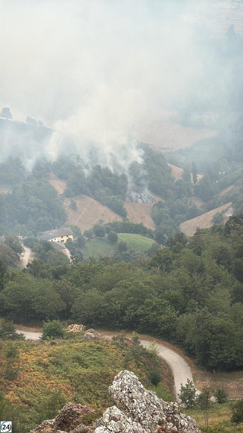 Cangas del Narcea solicita colaboración ciudadana ante el avance del fuego en Fonceca y El Acebo.