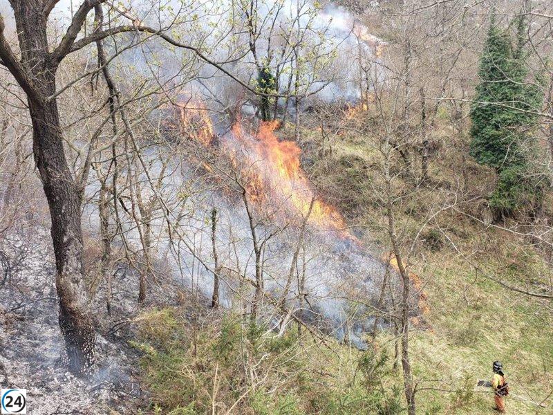 Ecologistas advierten sobre alta contaminación por partículas finas tras incendios en Asturias.