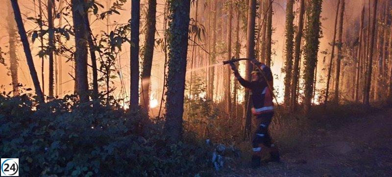 Asturias se enfrenta a 12 incendios forestales este domingo, de los cuales 6 continúan activos.