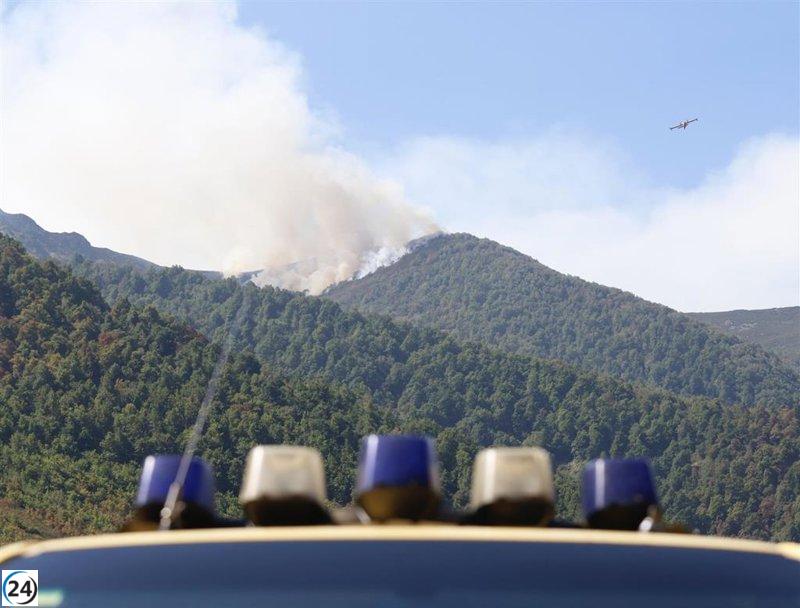 Asturias enfrenta tres incendios forestales activos este sábado.