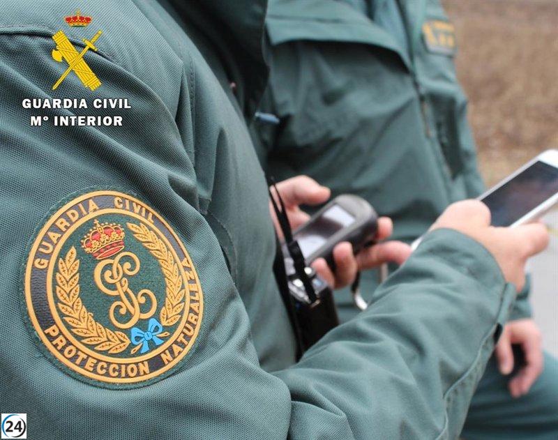 Tragedia en Curtia: hombre pierde la vida tras ataque de una vaca.
