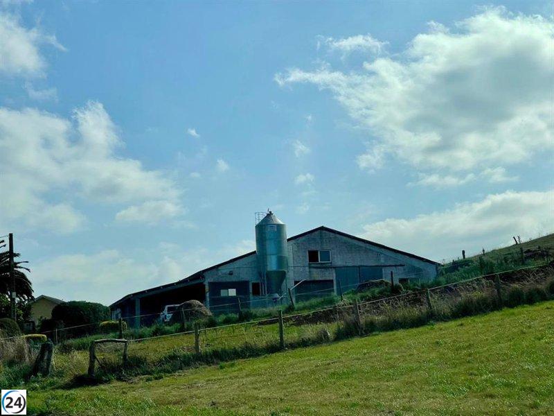 El gobierno regional asigna 400.000 euros a asociaciones agrícolas para modernizar sus explotaciones.