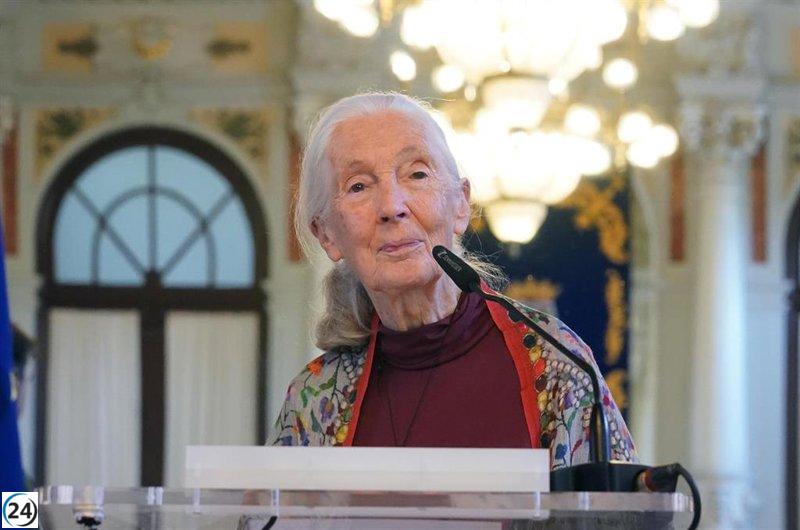 Fallece Jane Goodall, icónica investigadora y ganadora del Premio Príncipe de Asturias en 2003, a los 91 años.
