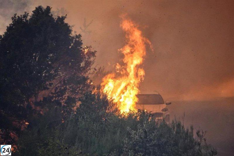 Asturias destina 358.590 euros a apoyar a ganaderos damnificados por los incendios de agosto.