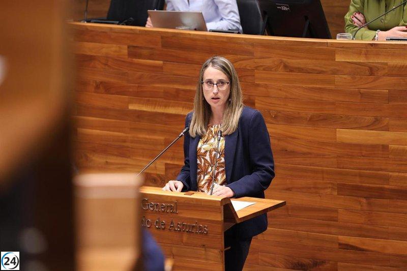 La Junta General desestima la propuesta del PP para proteger los botiquines rurales.