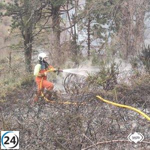 Asturias 2024: El 79% de los incendios fueron provocados intencionadamente