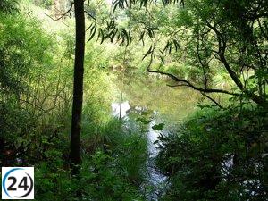 EMC Gold: el nuevo nombre que adopta Black Dragon Gold por la inversión asturiana.