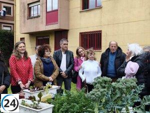 Gijón da la bienvenida a huertos comunitarios impulsados por Del Arco para promover el envejecimiento activo entre los mayores.