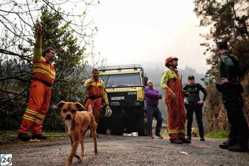 43 incendios forestales afectan a 23 concejos en Asturias.
