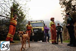 43 incendios forestales afectan a 23 concejos en Asturias.