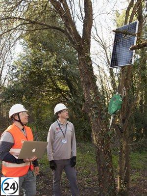 Solución IoT pionera en detectar incendios forestales se implanta en DuPont Asturias por Securitas
