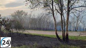 Canteli del PP pide a Barbón que especifique las ayudas para el incendio del Monte Naranco en Oviedo.