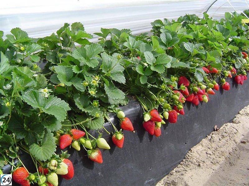 La inflación baja un 0,5% en Asturias durante marzo.