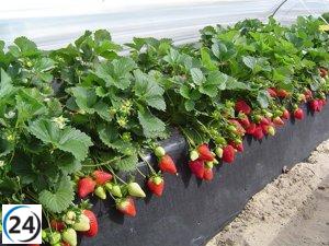 La inflación baja un 0,5% en Asturias durante marzo.