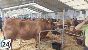 Gobierno concede 4 millones en ayudas a ganaderos.