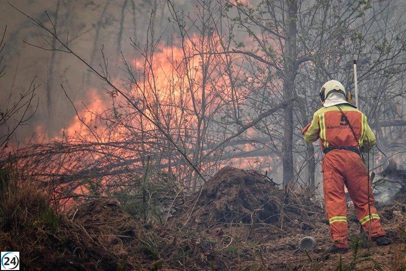 El Fiscal solicita encarcelamiento para ganadero acusado del incendio en Allande.