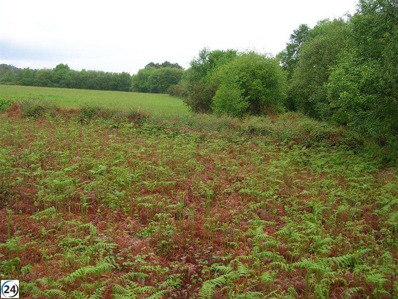 Ecologistas rechazan la edificación de 1.000 viviendas en Villademar (Cudillero)