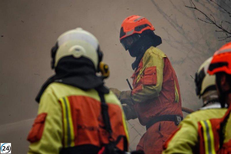 El Gobierno invierte 942.000 euros en reparar montes públicos dañados por incendios en Asturias.