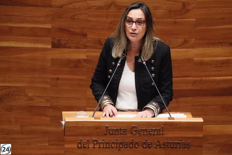 Rita Camblor sustituirá a Gimena Llamedo como secretaria de organización de la FSA-PSOE.