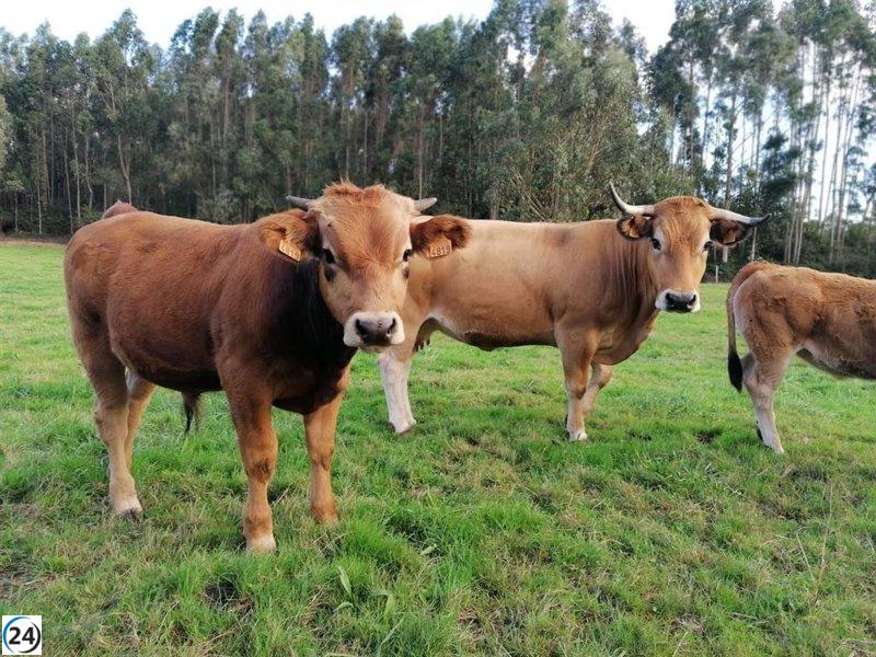Asaja y COAG impugnan nuevo baremo de indemnizaciones por daños de fauna salvaje.