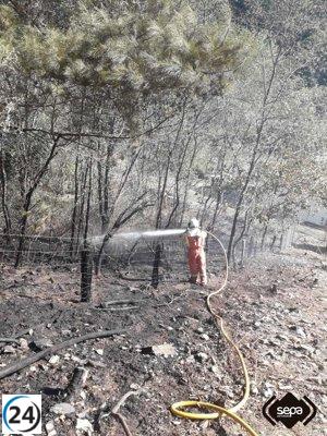 Los valientes bomberos logran controlar incendio forestal en Cangas del Narcea, protegiendo así su biodiversidad