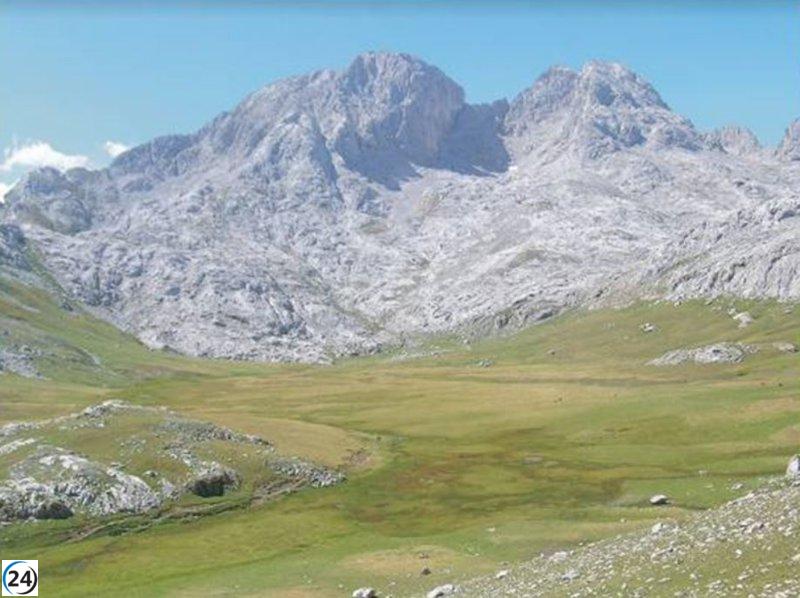 La influencia del clima en la biodiversidad de los tremedales es revelada por estudio de la Universidad de Oviedo